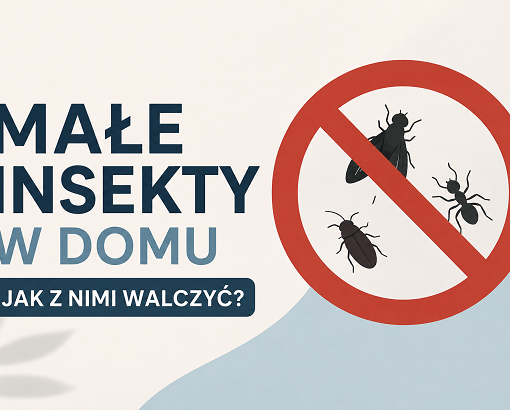 małe insekty w domu