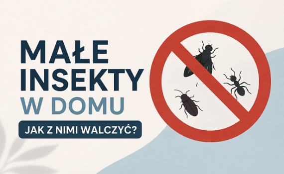 małe insekty w domu